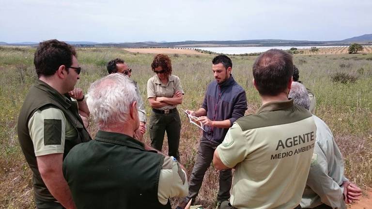 Destrozan decenas de arboles recién sembrados en Escacena y lo denuncian ante la Guardia Civil