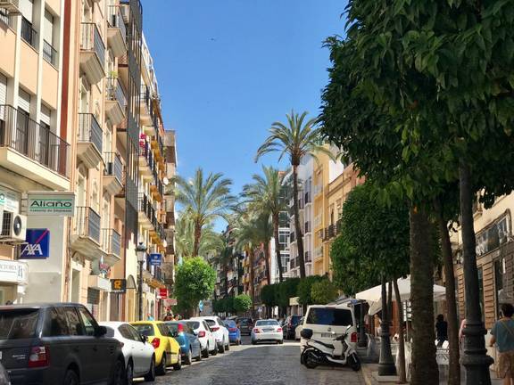 El Ayuntamiento completará el palmeral de San José y Paseo de la Independencia