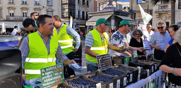 Protesta de arándanos gratis en la Plaza de las Monjas
