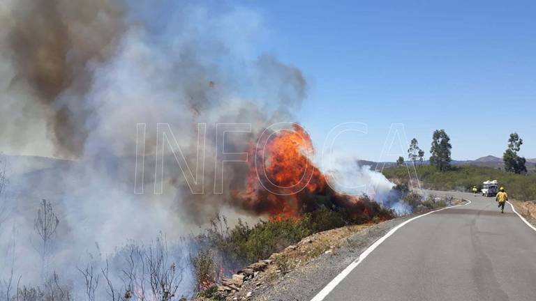 Un nuevo incendio se declara en un olivar de Villarrasa