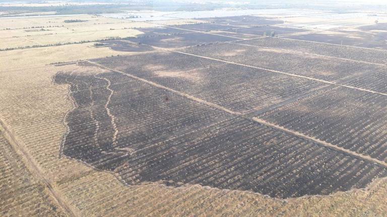 El Infoca extingue el incendio de Los Mimbrales que arrasó terrenos agrícolas junto a Doñana