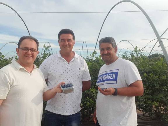 Juan Carlos Quiñones se compromete a implementar los frutos rojos y promover el empleo en Aracena