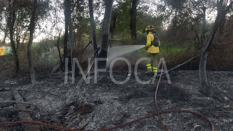 Extinguido el incendio del paraje de La Borrachuela de Almonte