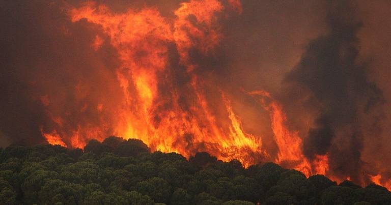El Gobierno da por finalizadas las obras de emergencia de restauración del incendio de Nerva