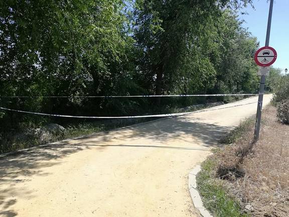 Numerosos enjambres de abejas obligan a cerrar el camino de la ermita de Bollullos