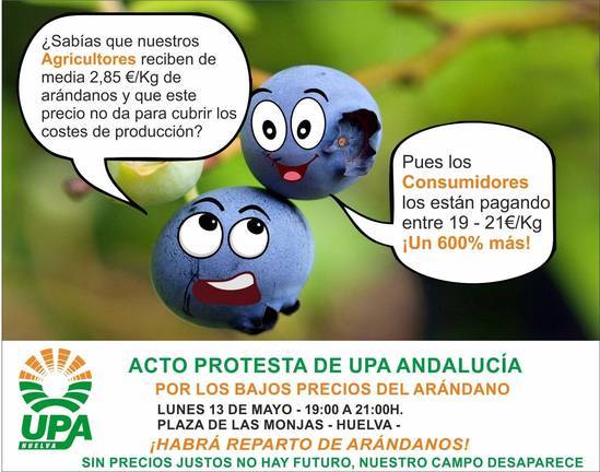 UPA Huelva regalará arándanos el lunes para protestar por la especulación de su precio
