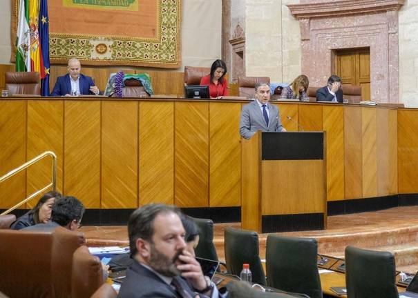 Monumental bronca parlamentaria por la judicialización de la segregación de Tharsis