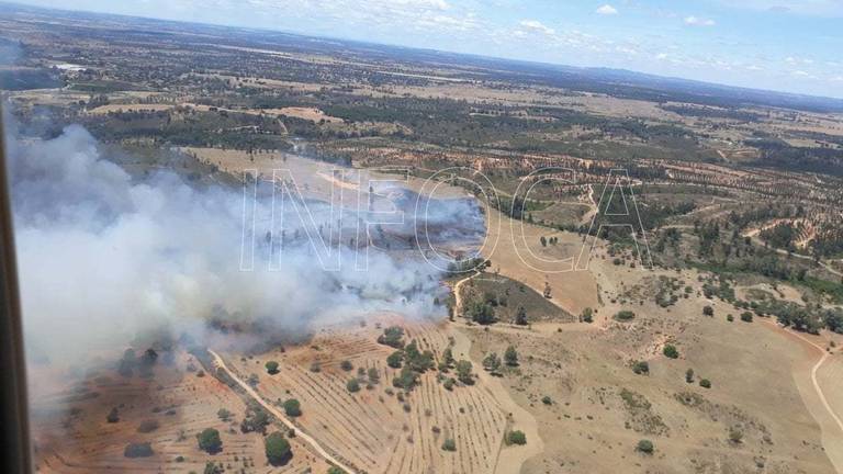 Declarado un incendio forestal en Beas