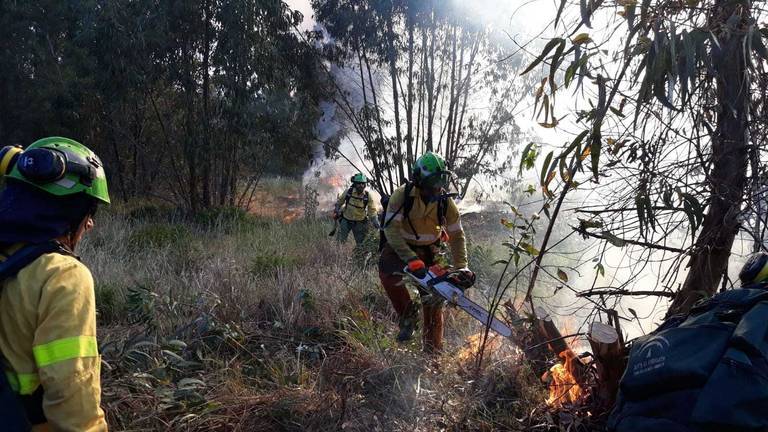 Controlado el incendio forestal de Almonte