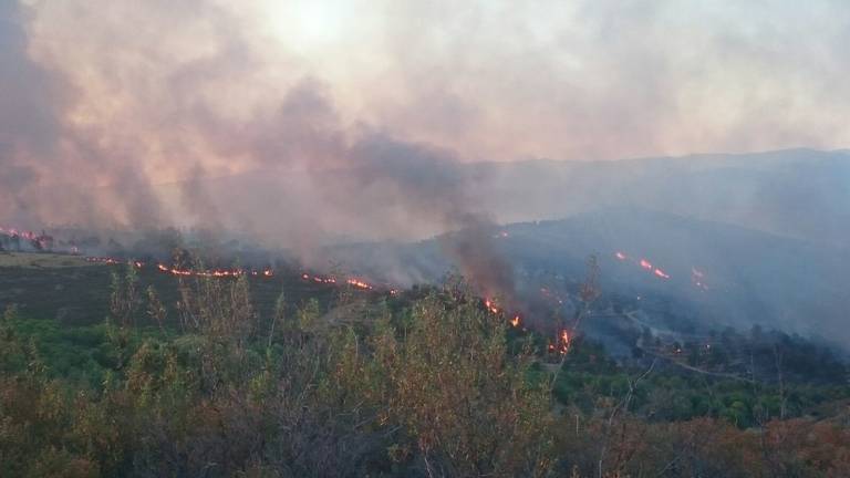 Revisan más de 3.600 kilómetros de líneas eléctricas en Huelva