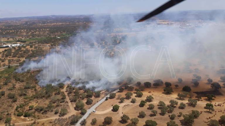El Infoca activa el dispositivo ante un incendio declarado en San Bartolomé