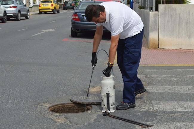 Punta Umbría combate las plagas de cucarachas y ratas en su alcantarillado