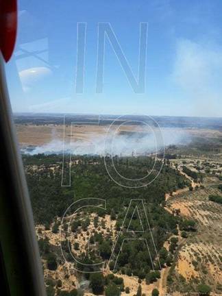 Extinguido un incendio en Calañas que ha afectado a 1,5 hectáreas de eucalipto y 4,5 de pasto