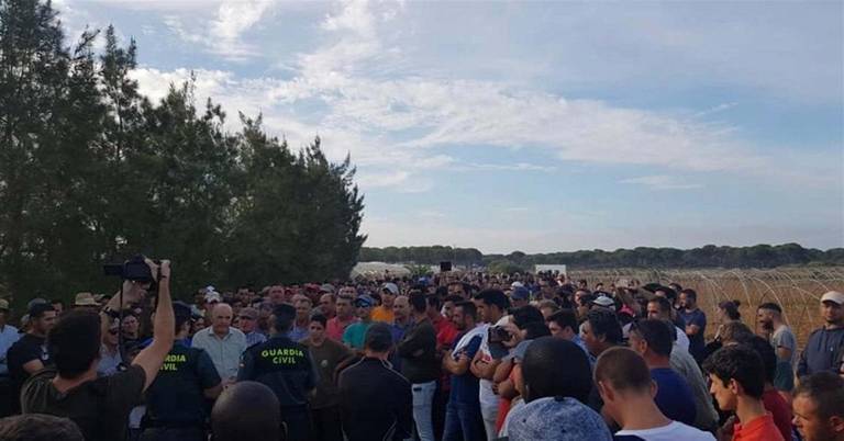 WWF rechaza el “bloqueo” al cierre de pozos ilegales en Doñana