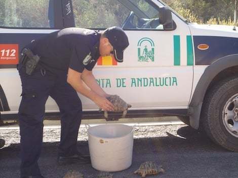 CSIF reclama la renovación de la flota de vehículos de vigilancia de la Junta de Andalucía
