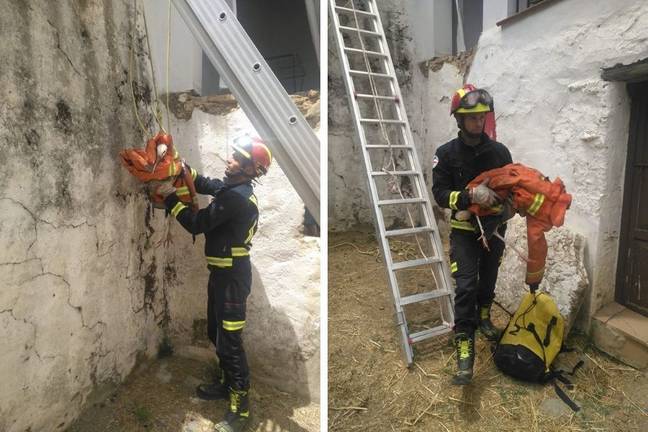 Rescatan a una cigüeña del campanario de la iglesia de Los Marines