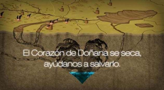 La Confederación del Guadalquivir confía la salud de Doñana a los trasvases pendientes