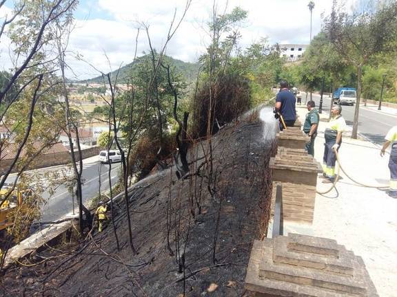 Un incendio afecta a la ladera del Castillo de Aracena
