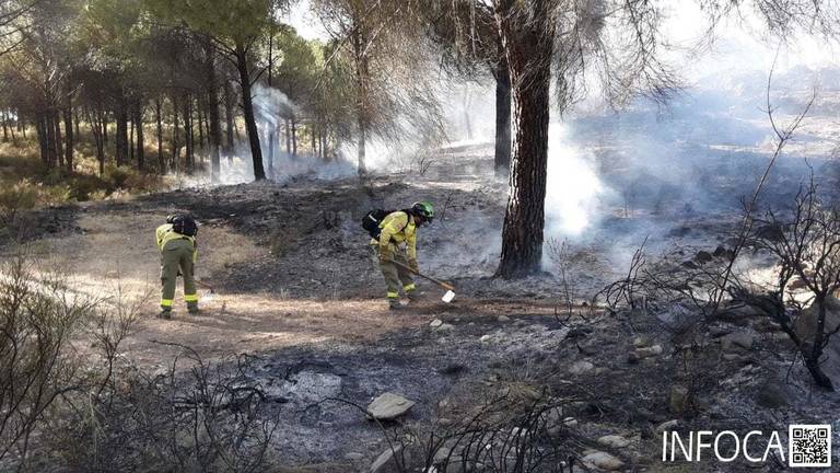 Bomberos trabajan en la extinción de un incendio en Nerva