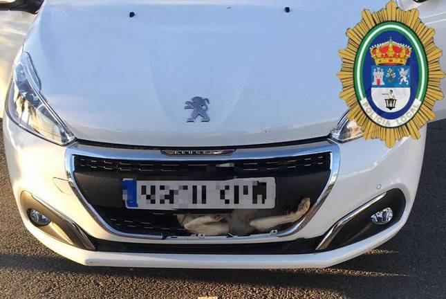 Rescatan a un perro atrapado en la rejilla de un coche tras un accidente en Lepe