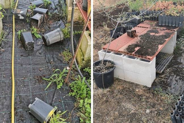 El vivero del Parque Moret sufre ya 15 destrozos desde su puesta en marcha