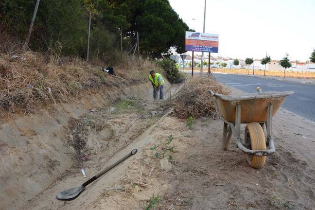 Palos comienza su campaña de podas y limpieza de cunetas, cauces y arroyos