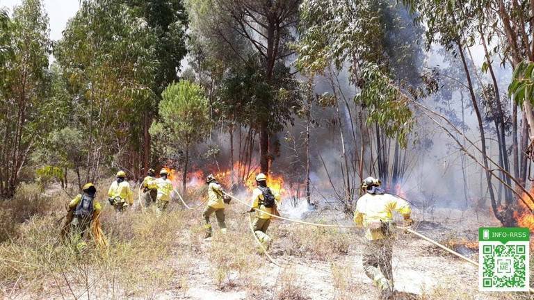 Extinguido el incendio forestal de Valverde