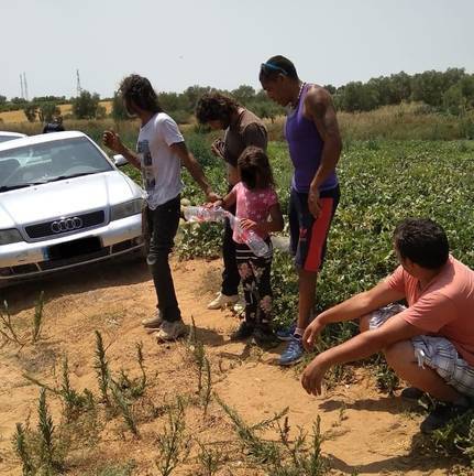 Sorprendidos robando 600 kilos de melones en una finca de Bollullos