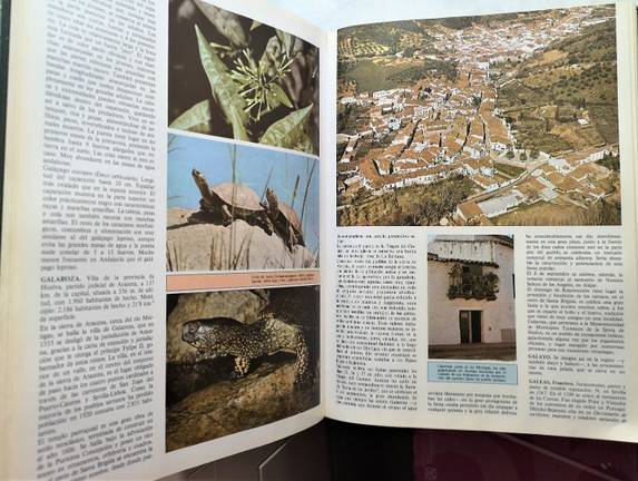 Galaroza hace 40 años, según la Gran Enciclopedia de Andalucía