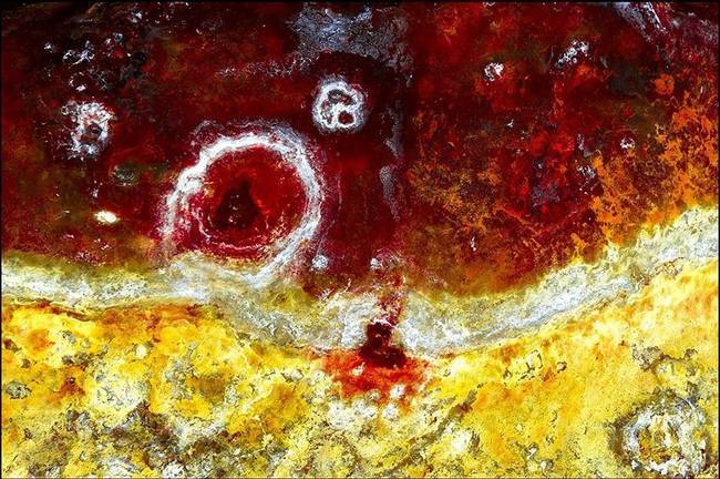 El Tinto ‘cruza el charco’