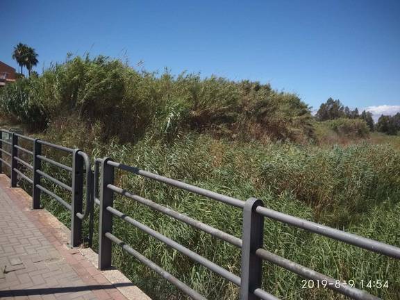 Exigen la limpieza de un arroyo en Aljaraque por riesgo de inundaciones