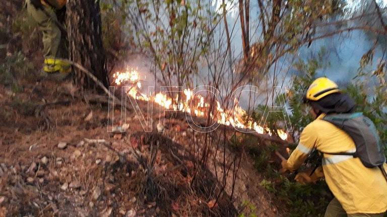 Declarado un incendio forestal en Valverde
