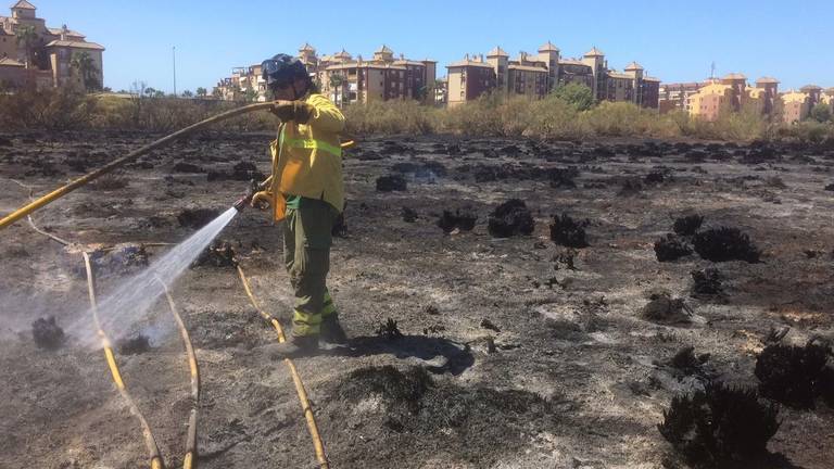 Extinguido el incendio forestal de Isla Canela que ha afectado a 1,2 hectáreas de matorral