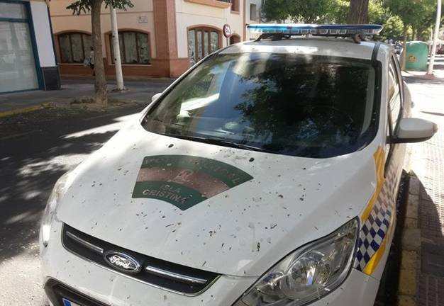 Persecución por las azoteas de Isla Cristina para detener a un ladrón