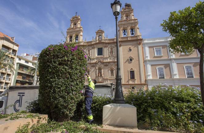 Un dispositivo especial velará por la bajada de La Cinta a la Catedral este domingo