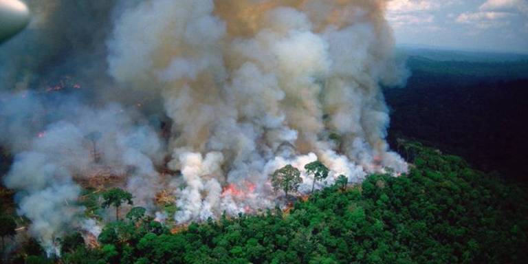 Todos vimos el humo