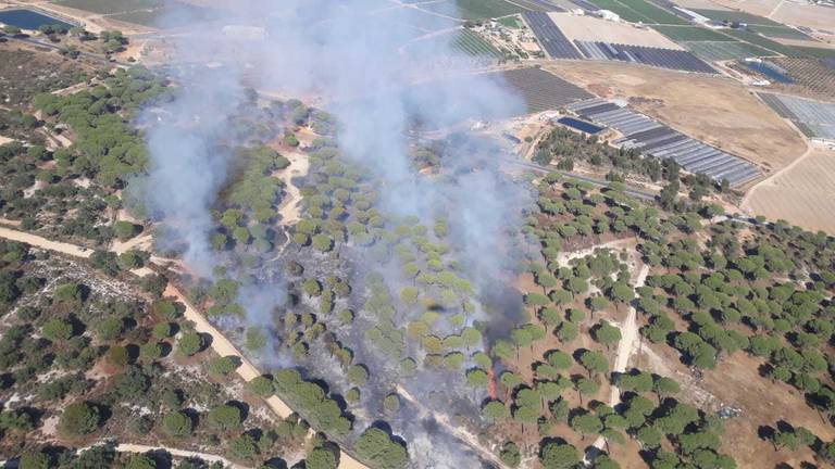 Estabilizado un incendio forestal y declarado un segundo en Lucena del Puerto