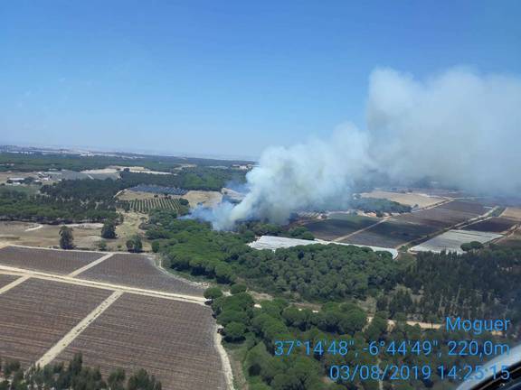 Declarado un incendio forestal en Lucena del Puerto