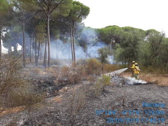 Controlado el incendio forestal en Almonte