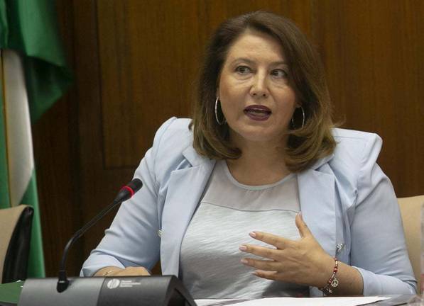 La Junta se replantea los permisos del vertedero de Nerva tras la proliferación de incendios