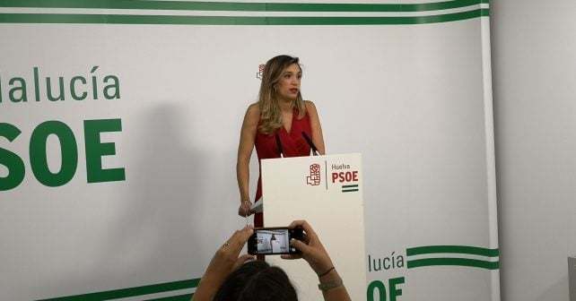 El PSOE exige a la Junta que “actúe y reponga” la iluminación en el Puente del Odiel