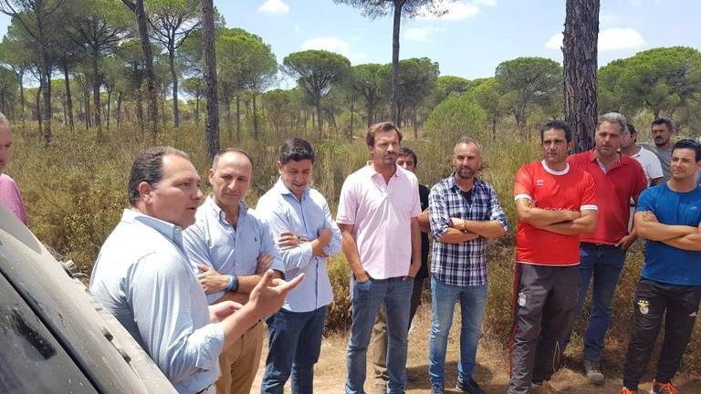 El PP y la Corona Forestal de Doñana