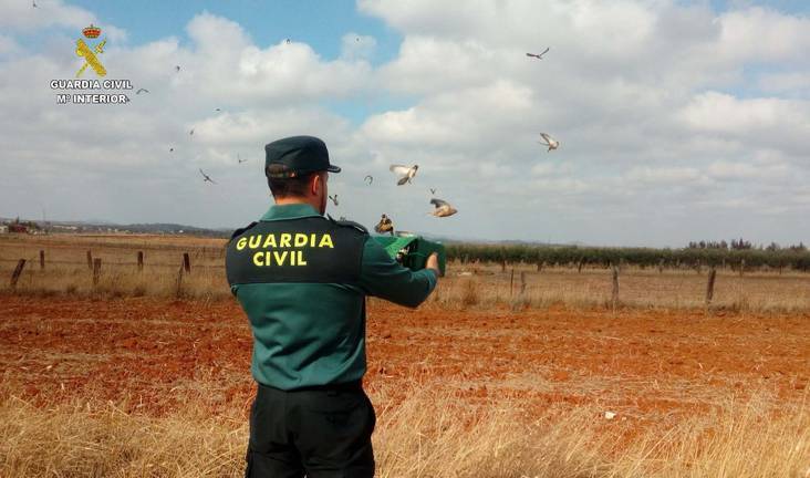 Incautadas a dos furtivos 38 aves en San Bartolomé de la Torre