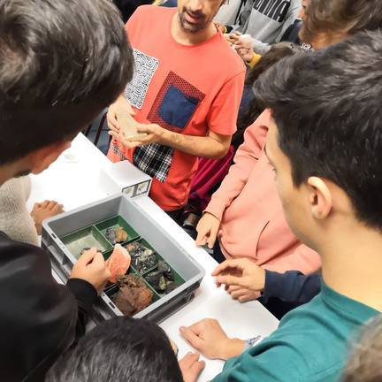 Más de 500 estudiantes asisten a la Semana de la Ciencia de la UHU