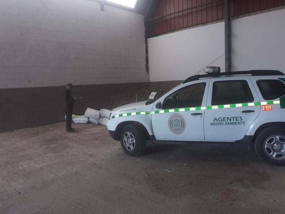 La piña inmadura incautada en Aroche se destina a reforestar zonas incendiadas
