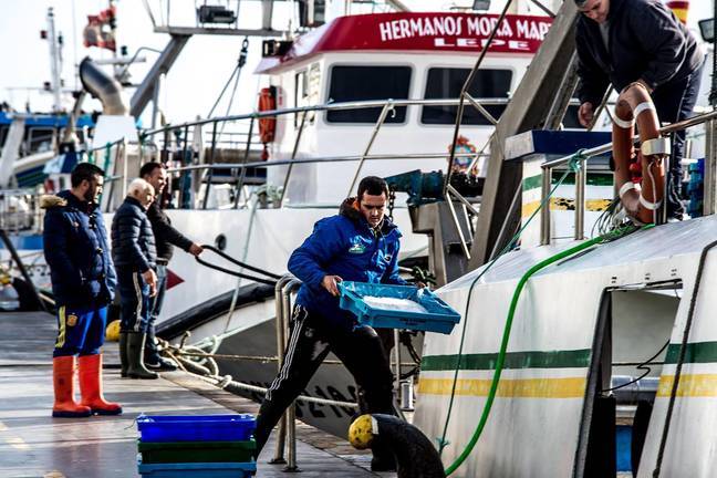 Cs pone en valor el plan de medidas urgentes para el empleo en la pesca onubense
