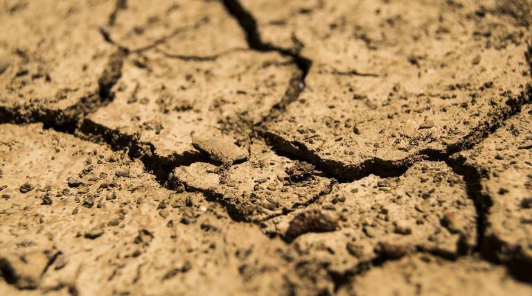 Ciudadanos “toma medidas ante una posible sequía por la escasez de lluvias”