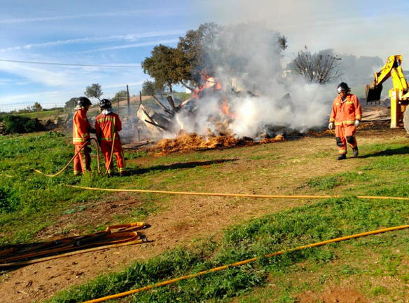 Muere una yegua en un incendio en El Almendro