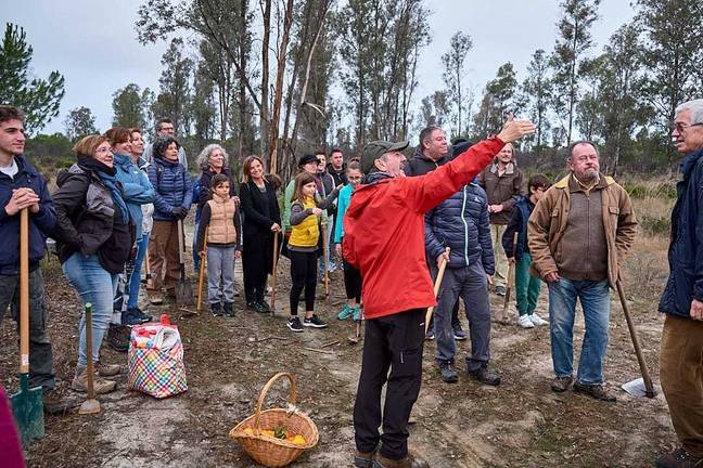 Siembra ecologista para recuperar la zona del gran incendio de Doñana