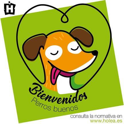 Holea da la bienvenida a los perros a sus instalaciones